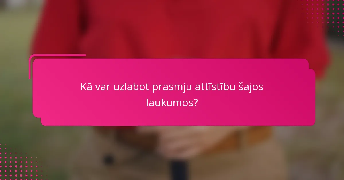 Kā var uzlabot prasmju attīstību šajos laukumos?